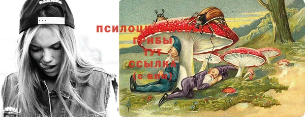 синтетический гашиш Алексеевка