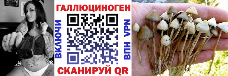 Псилоцибиновые грибы Magic Shrooms  Муром 
